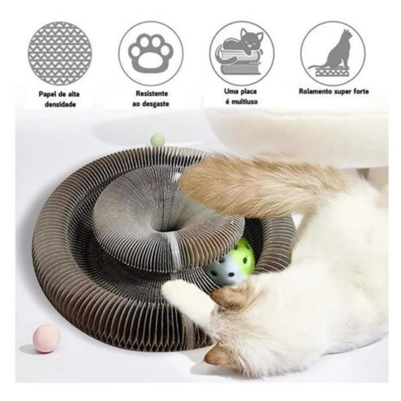 Compre 360 rotação inseto gato brinquedo interativo animal de estimação cão  brinquedo descomprimir lagarta ponta do dedo caracol brinquedos para  animais de estimação